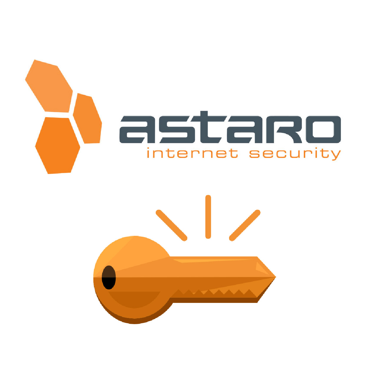 Astaro - AMG 2000 Subscription Activation Key, Firewall